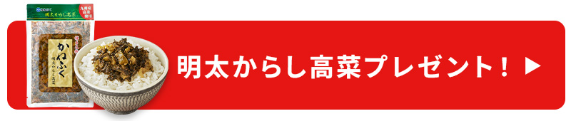 明太からし高菜プレゼント！