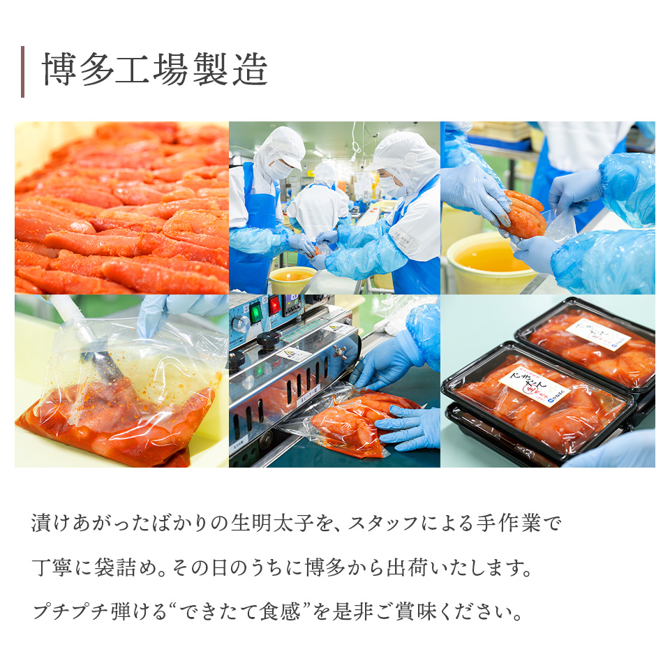 ［無着色］博多工場できたて“生”明太子270g×2個セット