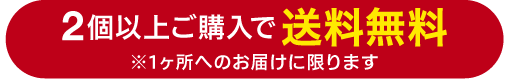 2個以上ご購入で送料無料