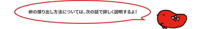 漁場に行ってみよう！②船内での加工