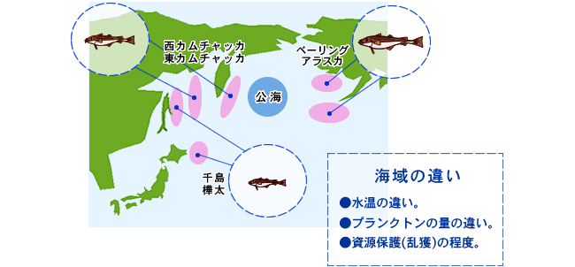 『スケトウダラ産地と資源の活用』