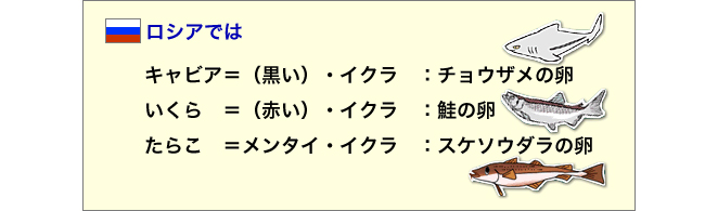 メンタイ・イクラ