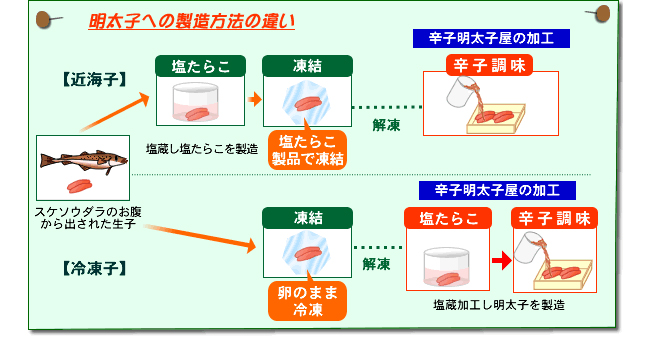 「近海子と冷凍子」