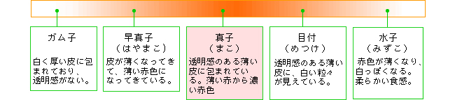 卵の元の色も色々