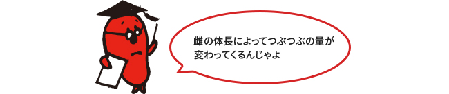 明太子の粒の数は？