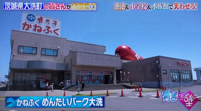 『有吉の壁』めんたいパーク大洗にお越しいただきました！
