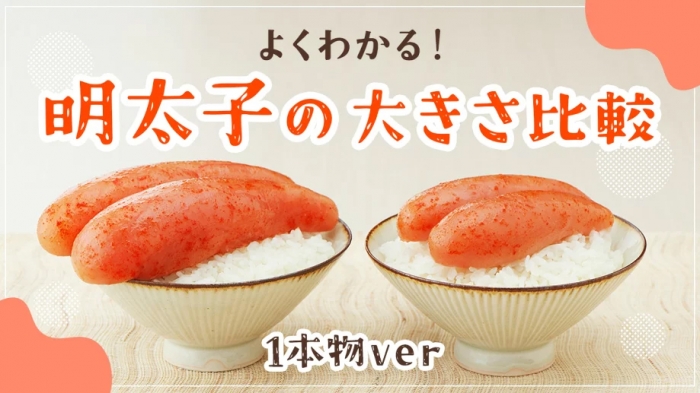 明太子の大きさはどれくらい？サイズ・違いを解説！