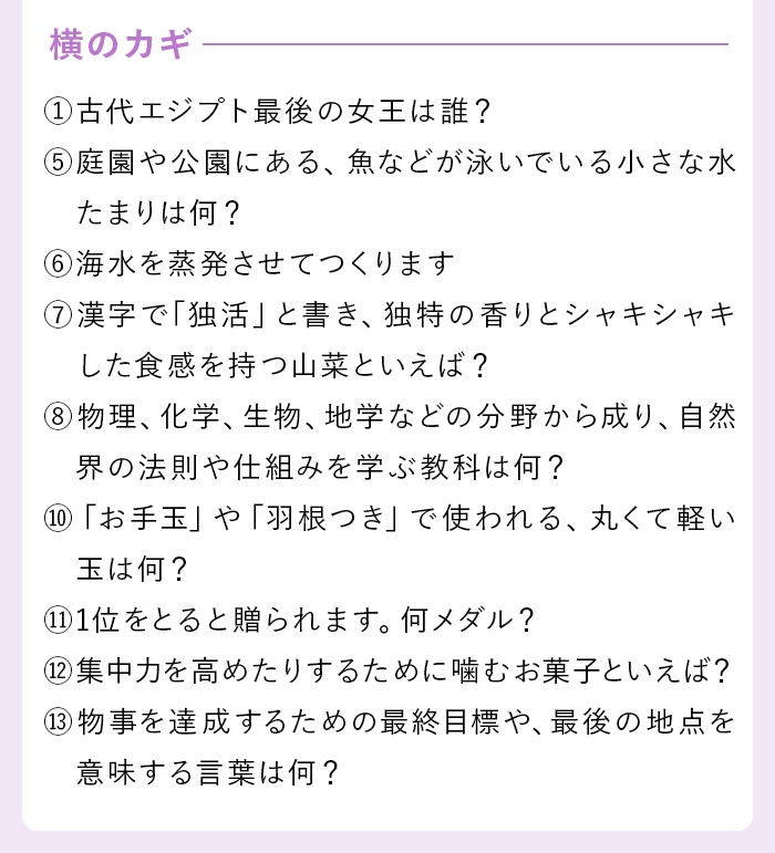 横のカギ