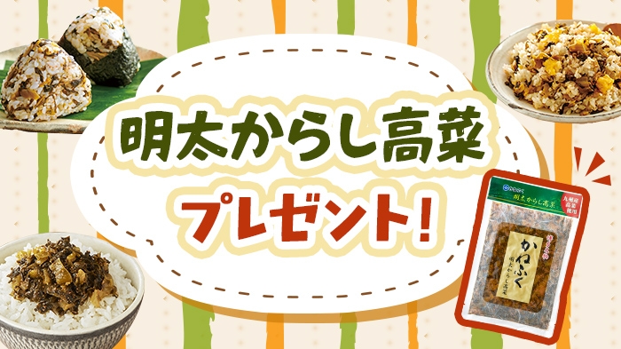 明太からし高菜プレゼント！