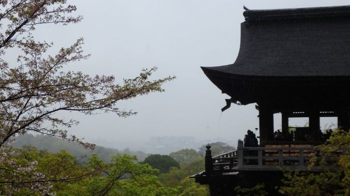 京都へ行ってきました！