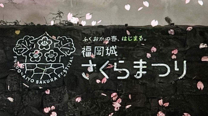 夜桜を見に行きました