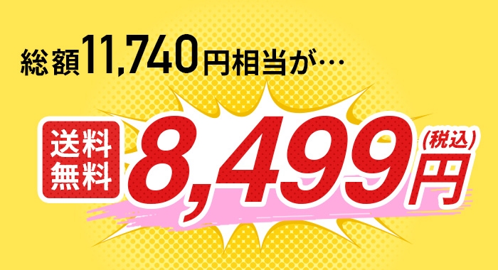 総額13570円相当が税込9480円!(送料無料)