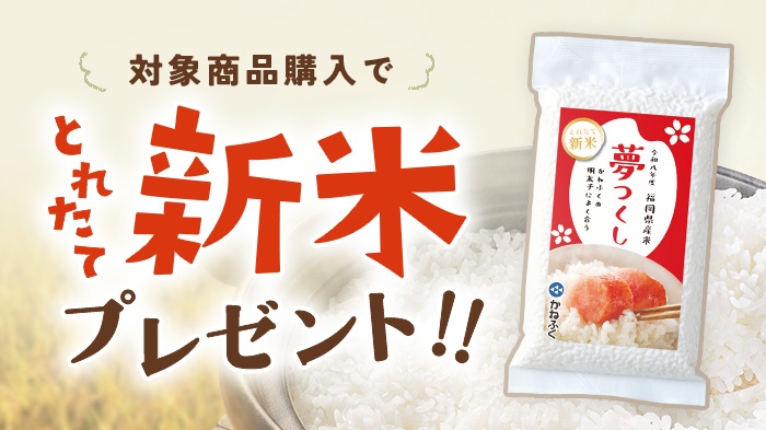 福岡県産の新米プレゼント！