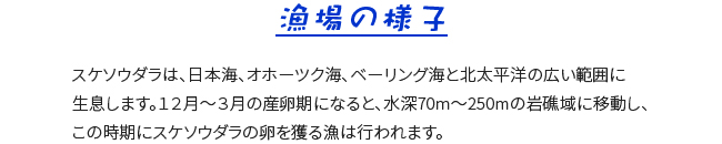 漁場に行ってみよう！①