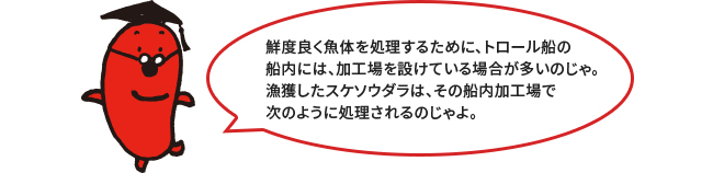 漁場に行ってみよう！②船内での加工