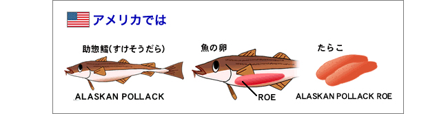 「ALASKAN POLLACK(アラスカンポラック)」