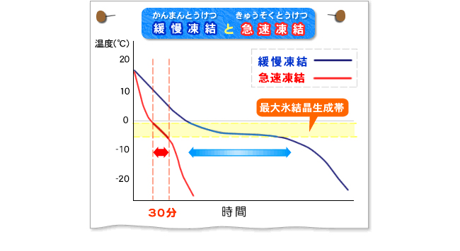 緩慢凍結と急速凍結