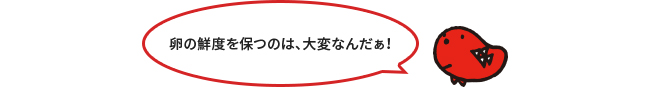 緩慢凍結と急速凍結